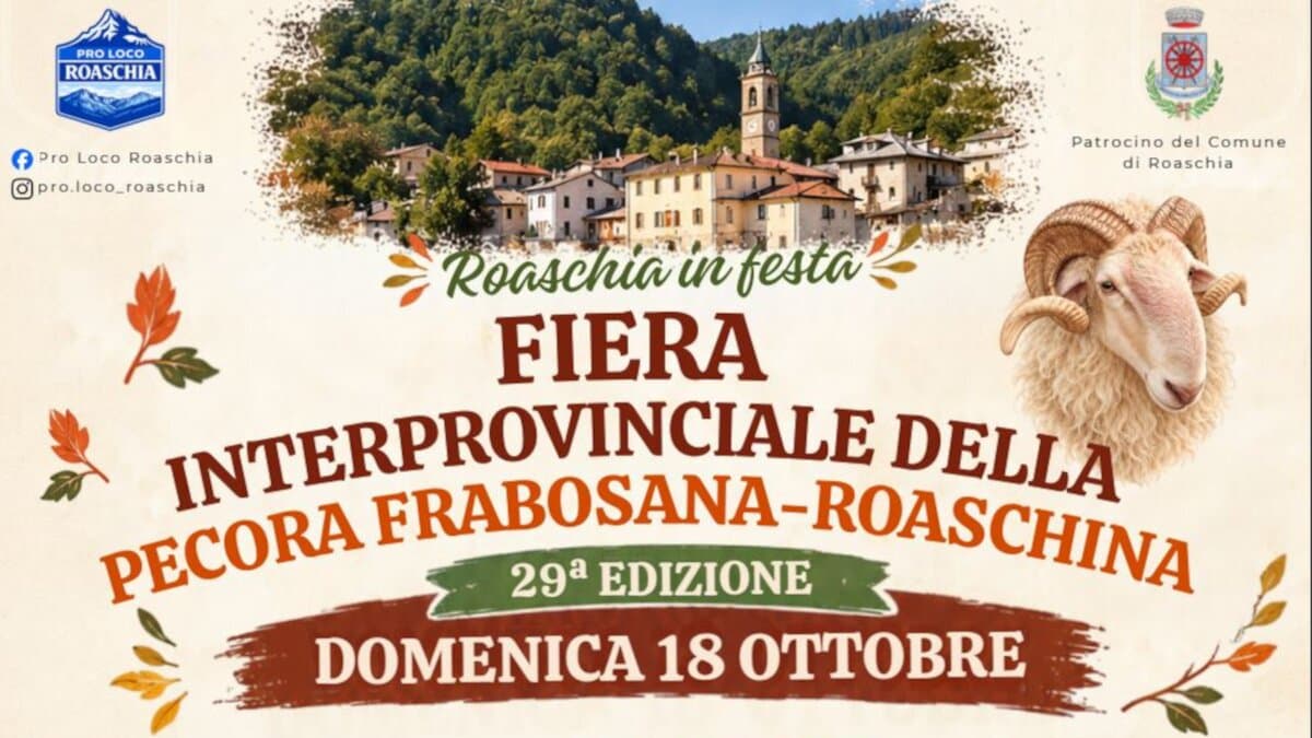 Sagra: Mostra Interprovinciale Ovini di Razza Frabosana Roaschina, Roaschia