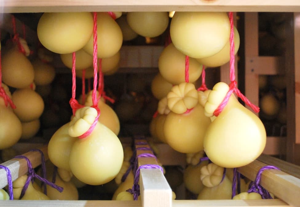 Sagra: Sagra del Caciocavallo di San Mauro Castelverde, San Mauro Castelverde