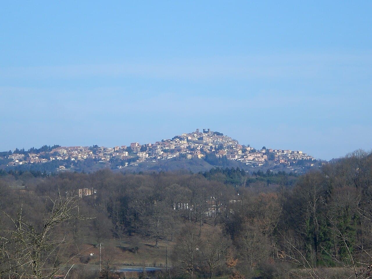 Sagra: Sagra del Fungo Porcino di Rocca Priora, Rocca Priora