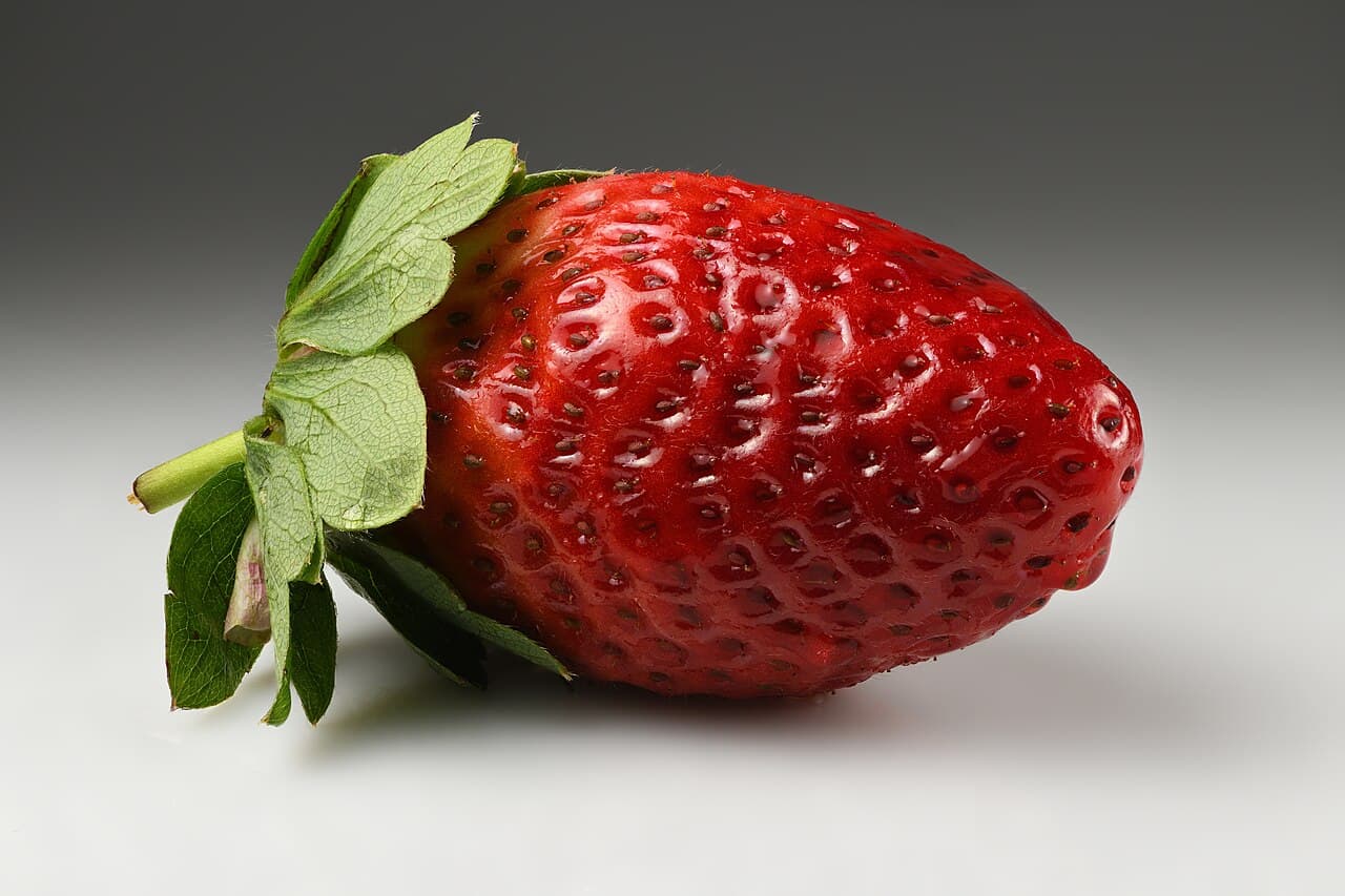 Sagra: Sagra della Fragola di Maletto, Maletto