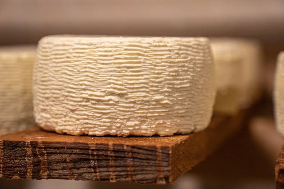 Sagra: Festa del Formaggio di Fossa, Sogliano al Rubicone