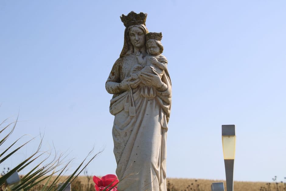 Festa: Festa della Madonna del Pettoruto, San Sosti