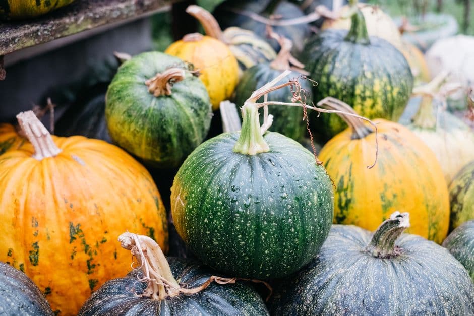 Festa: Festa della Zucca di Gavirate, Gavirate