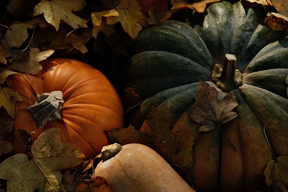 Festa: Festa della Zucca di Salzano, Salzano