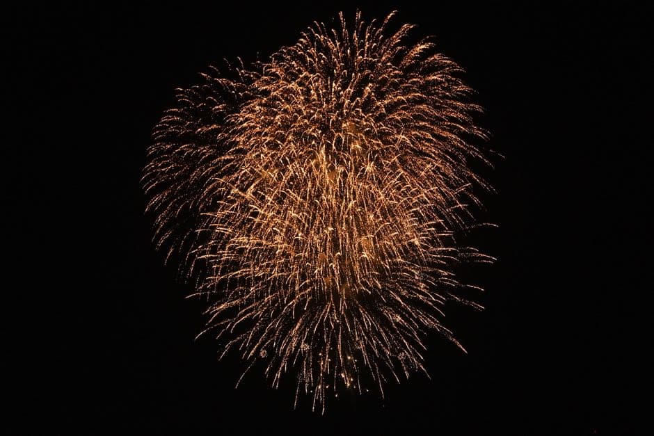 Festa: Festa di San Bellino, San Bellino
