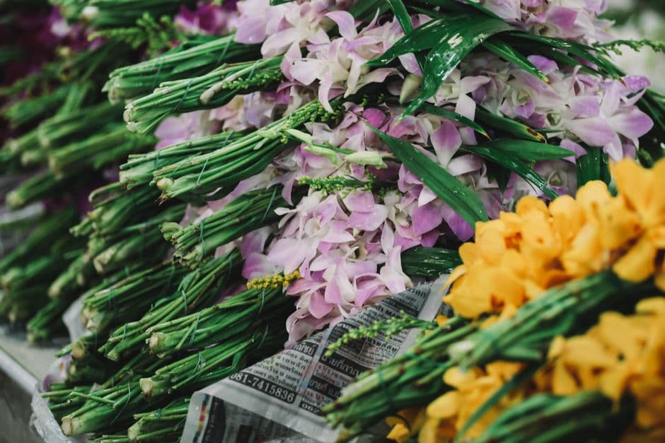 Mercatino: Garden Club - Mostra Mercato di Cesena, Cesena