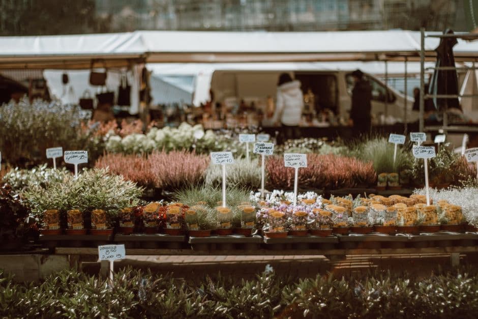Fiera: Mejaniga in Fiore a Cadoneghe, Cadoneghe