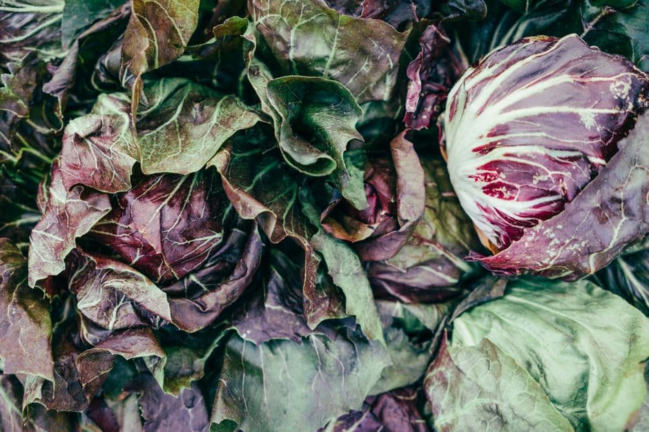 Fiera: Mostra del Radicchio Variegato di Castelfranco, Castelfranco Veneto