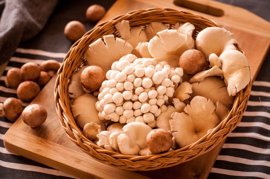 Fiera: Mostra Mercato del Tartufo e del Fungo Porcino, Palaia
