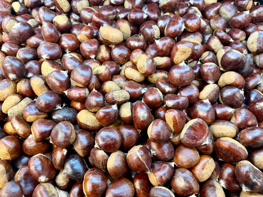 Festa: Ottobrata Zafferanese, Zafferana Etnea