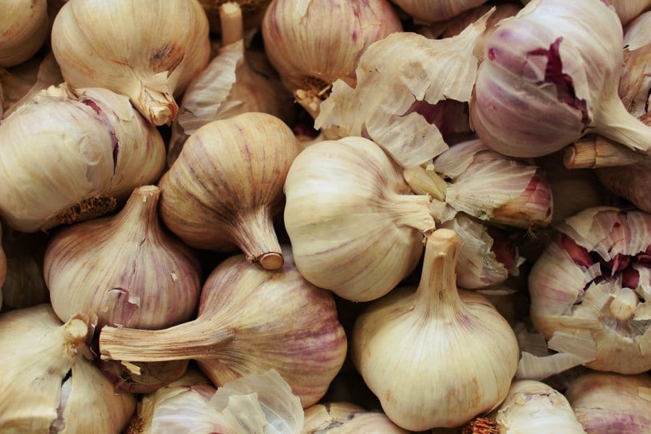Sagra: Rosso Aglio di Paceco, Paceco