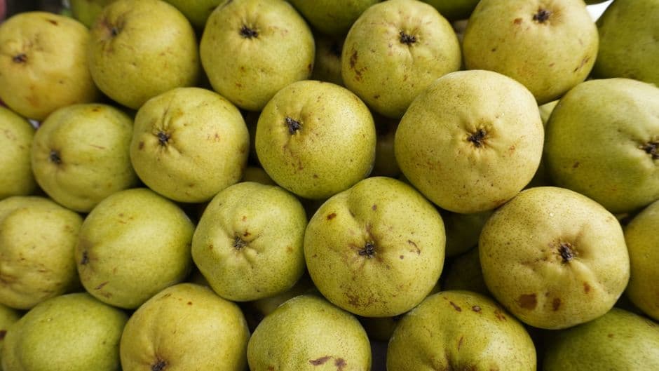 Sagra: Sagra dei Per di Bribano, Sedico
