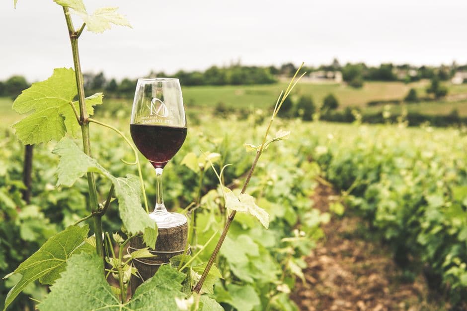 Sagra: Sagra del Lambrusco, Sorbara