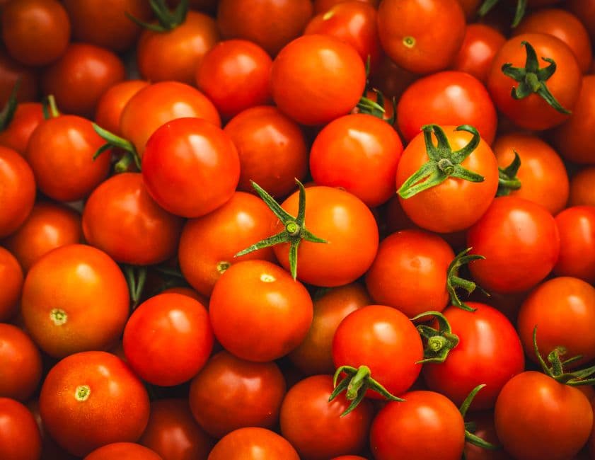 Sagra: Sagra del Pomodoro di Pachino, Pachino