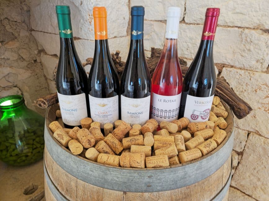 Sagra: Sagra del Vino, Bivongi