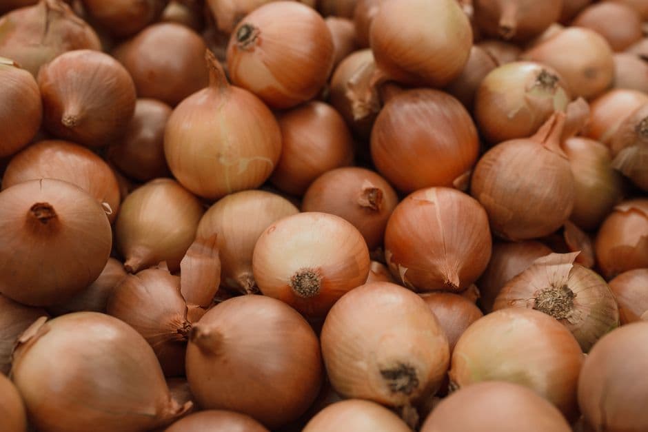 Sagra: Sagra della Cipolla, Russi