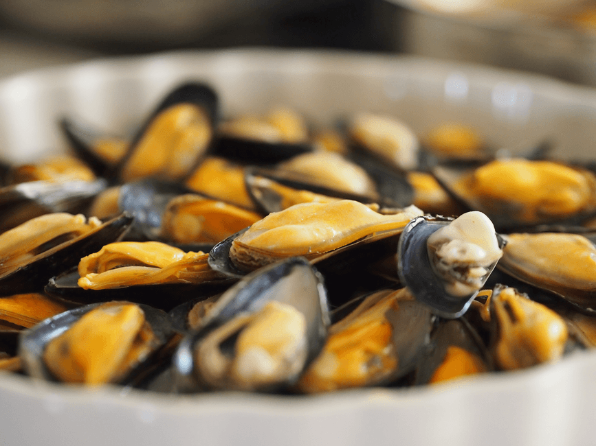Sagra: Sagra della Cozza e della Vongola, Cattolica