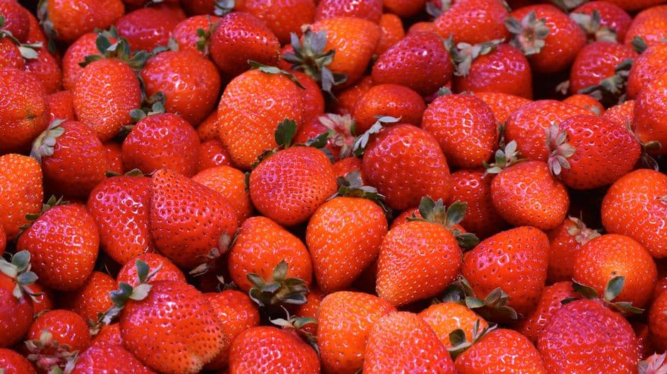 Sagra: Sagra della Fragola di Maletto, Maletto