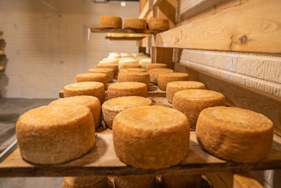 Sagra: Sagra della Pecorina, Verghereto