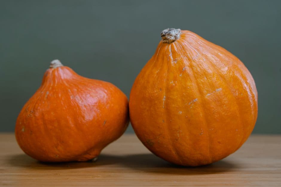 Sagra: Sagra della Zucca, Ostellato