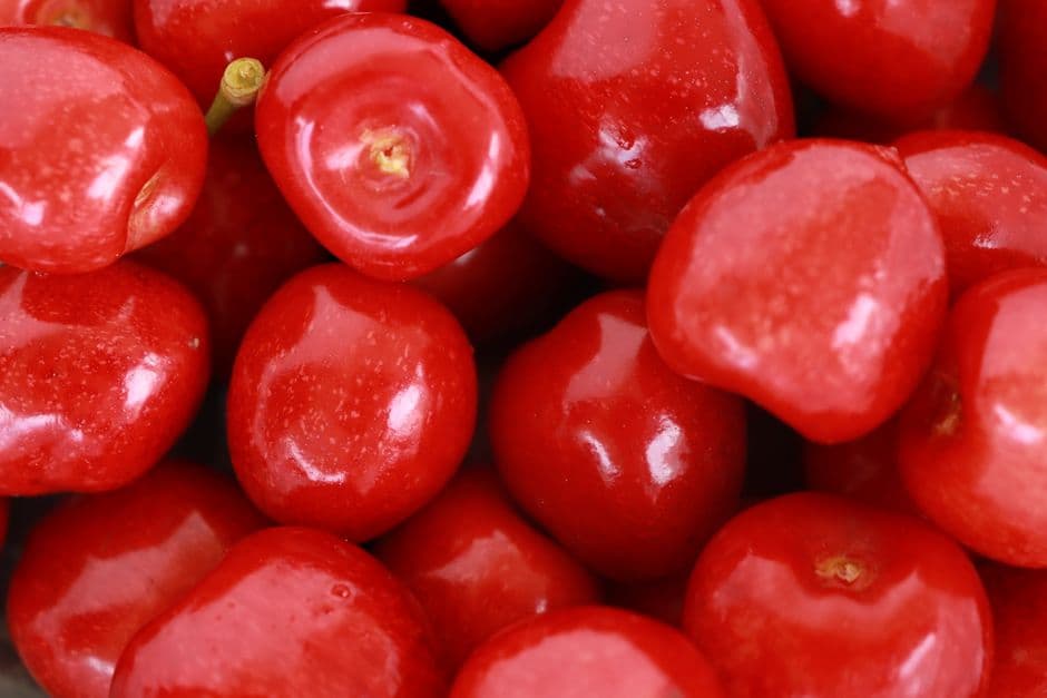 Sagra: Sagra delle Ciliegie, Casciana Terme Lari