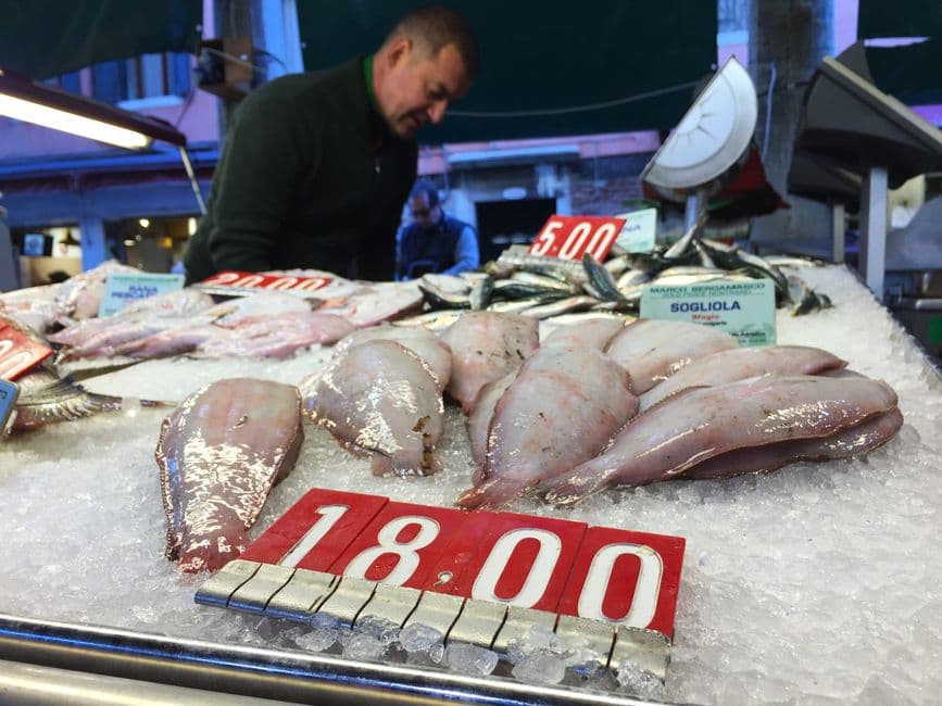 Sagra: Sagra di San Rocco a Dolo, Dolo