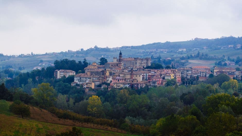 Sagra: Settembre Rosignanese, Rosignano Marittimo