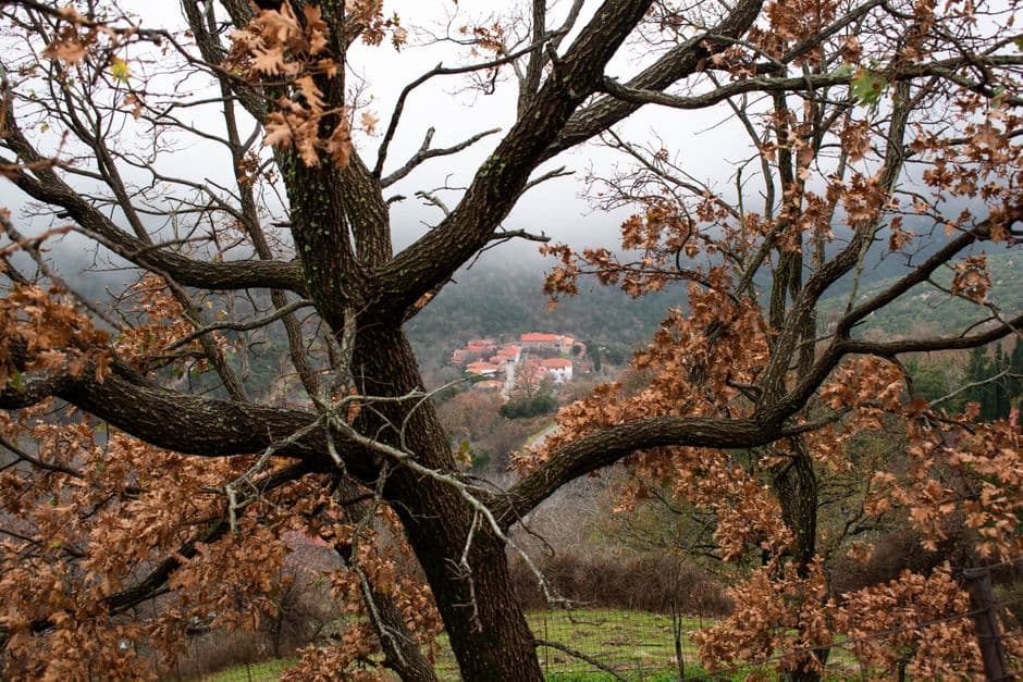 Festa: Festa d'Autunno, Usmate Velate