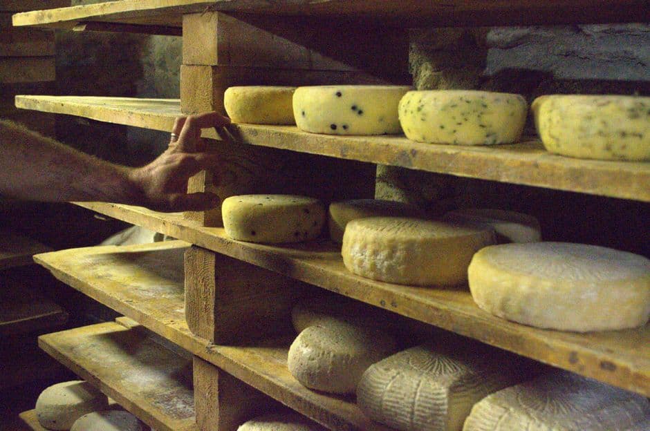 Sagra: Sagra della Provola di Floresta, Floresta