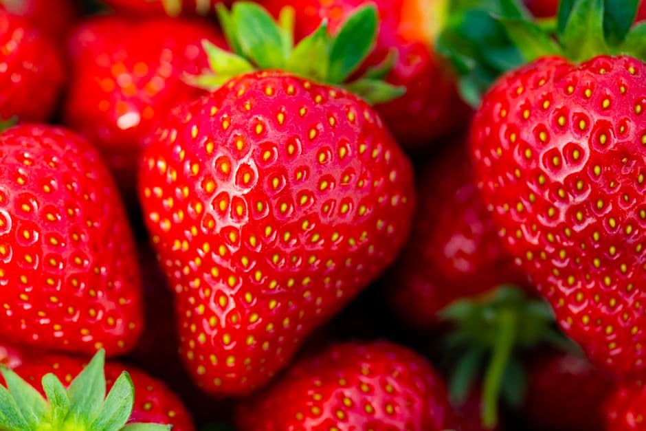 Festa: Festa della Fragola di Acconia, Curinga