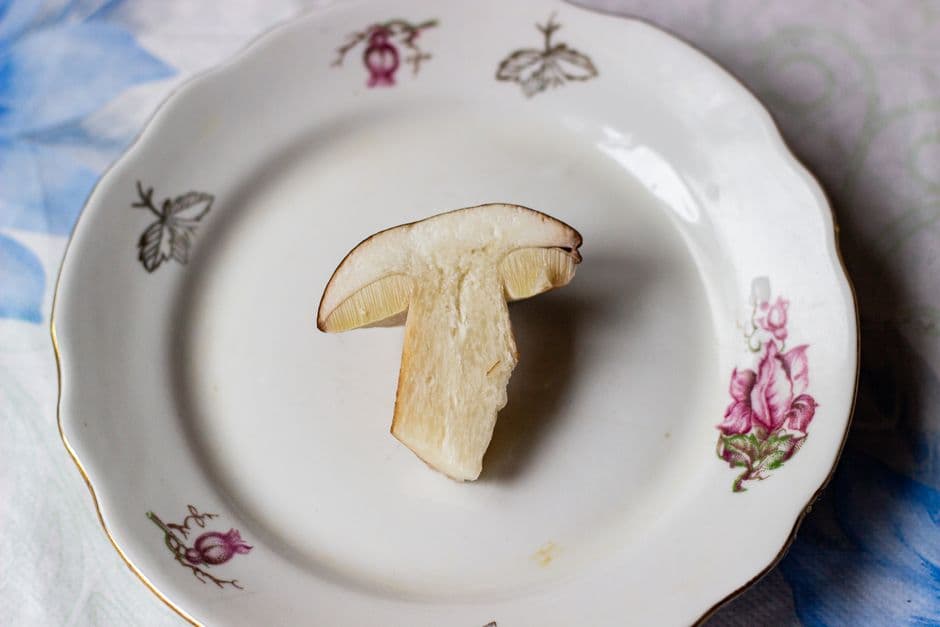 Sagra: Sagra del Fungo e della Castagna, Abetone Cutigliano