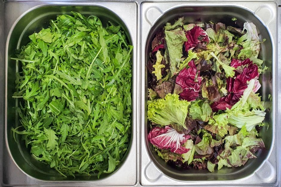 Sagra: Sagra del radicchio di Bosco Mesola, Bosco Mesola