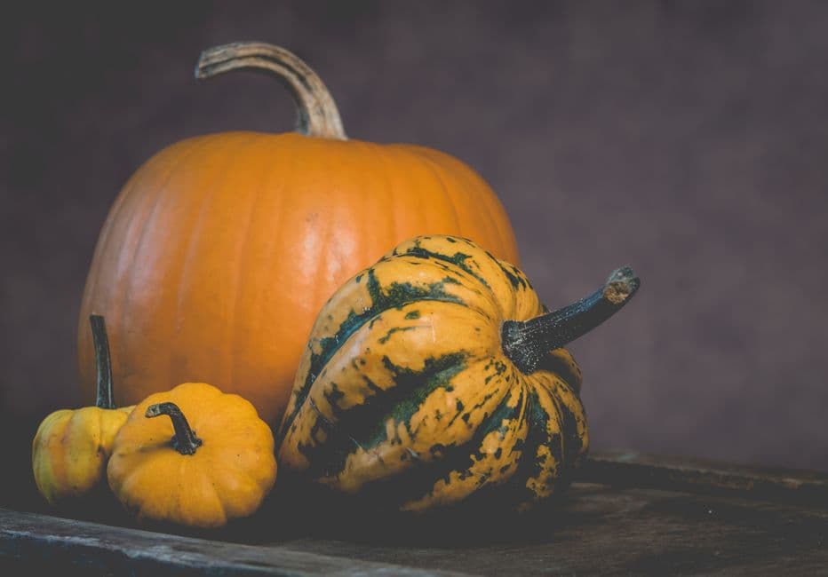 Festa: Festa della zucca, Lana