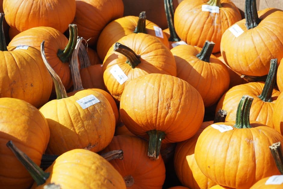 Sagra: Festa Autunnale della Zucca, Palizzi