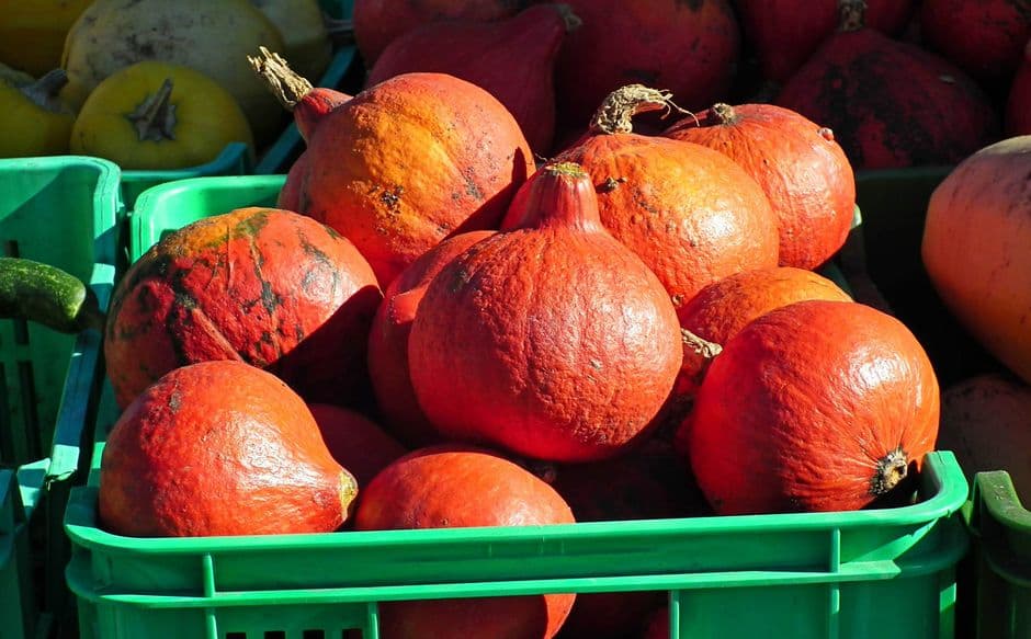 Sagra: Sagra della zucca di Aquileia