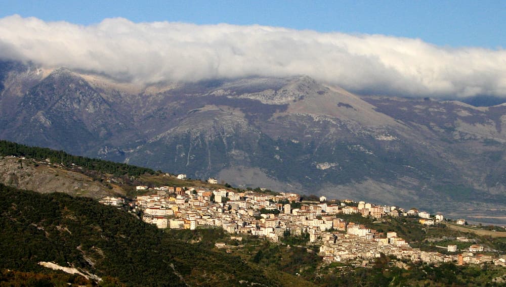 Sagra: Festa del Moscato di Saracena, Saracena