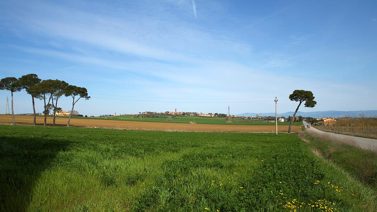Festa: Festa del Tulipano, Castiglione del Lago