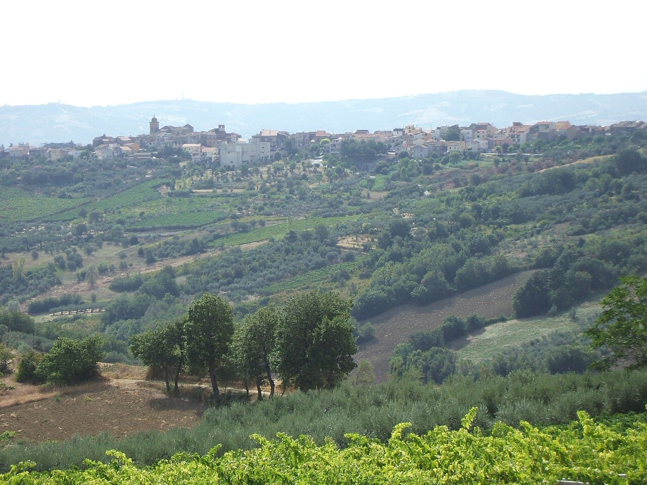 Sagra: Festival della Ventricina del Vastese, Scerni