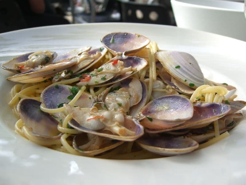 Sagra: Sagra a San Vito di Bassano del Grappa, Bassano del Grappa
