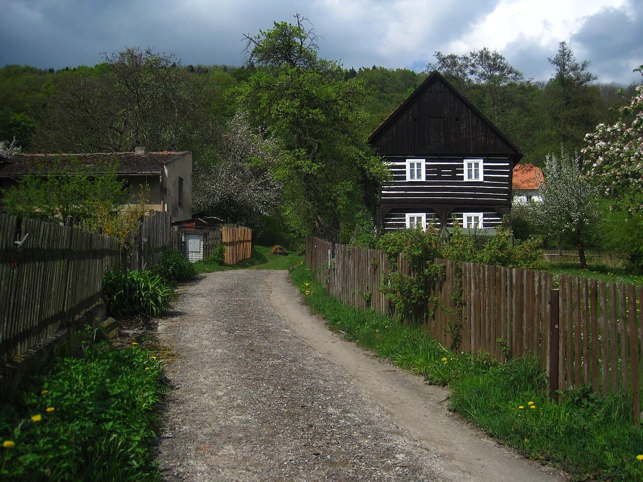 Sagra: Sagra dea Rana di Cona, Cona