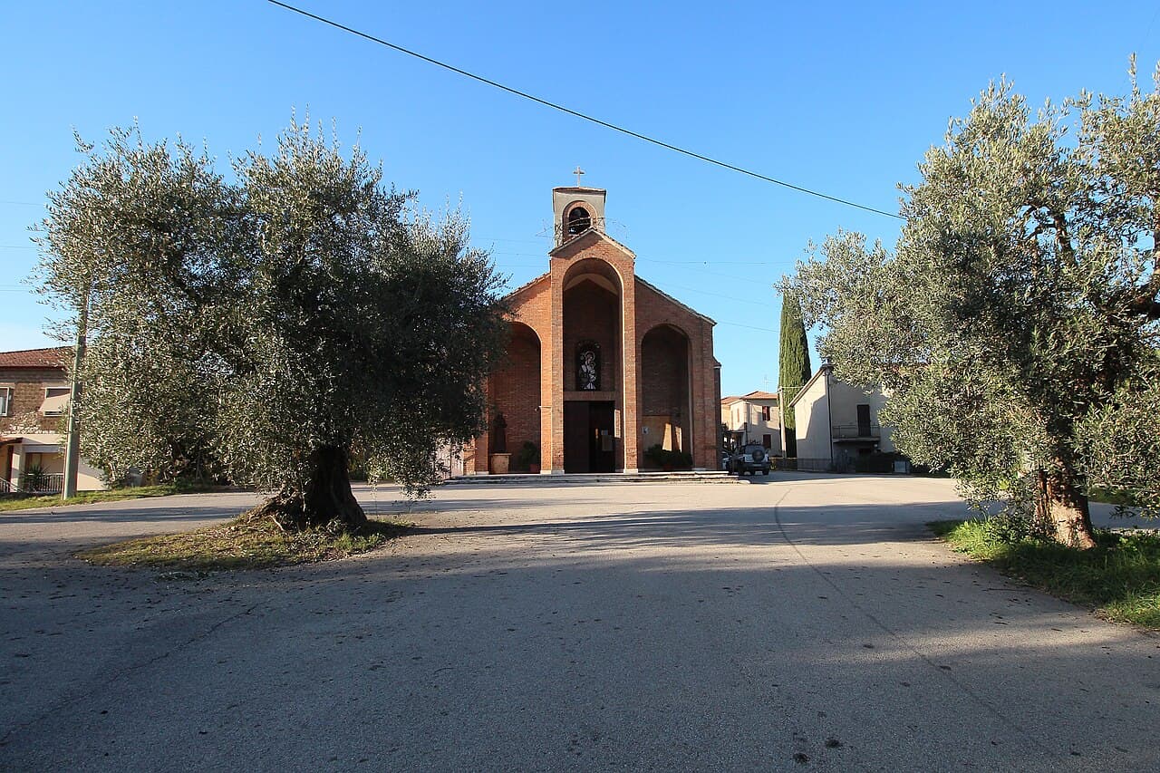 Sagra: Sagra del Fiore di Zucca, Nera Montoro