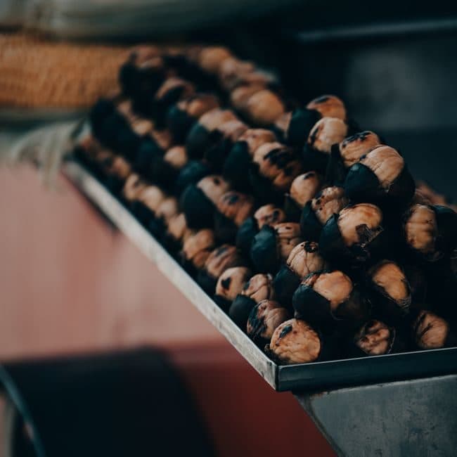 Mercatino: Mercatini di Natale, Borgomaro