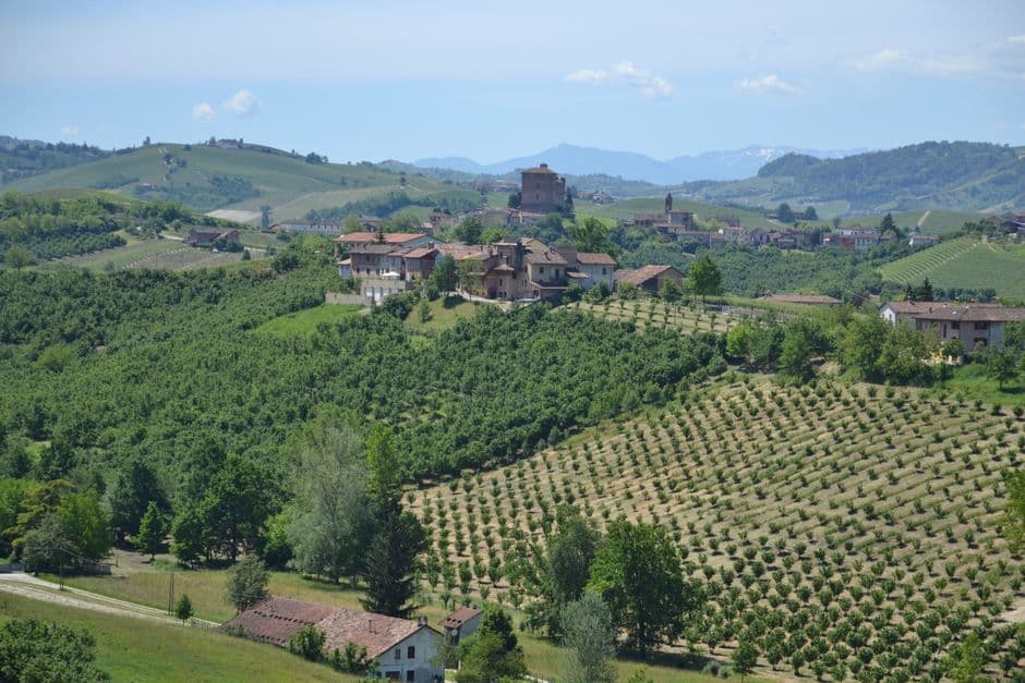 Sagra: Dolcetto Summer Fest, Rodello