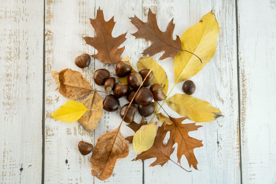 Sagra: Festa d'Autunno, Acquasanta Terme