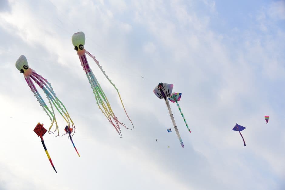 Evento: Festival Internazionale dell'Aquilone, Margherita di Savoia