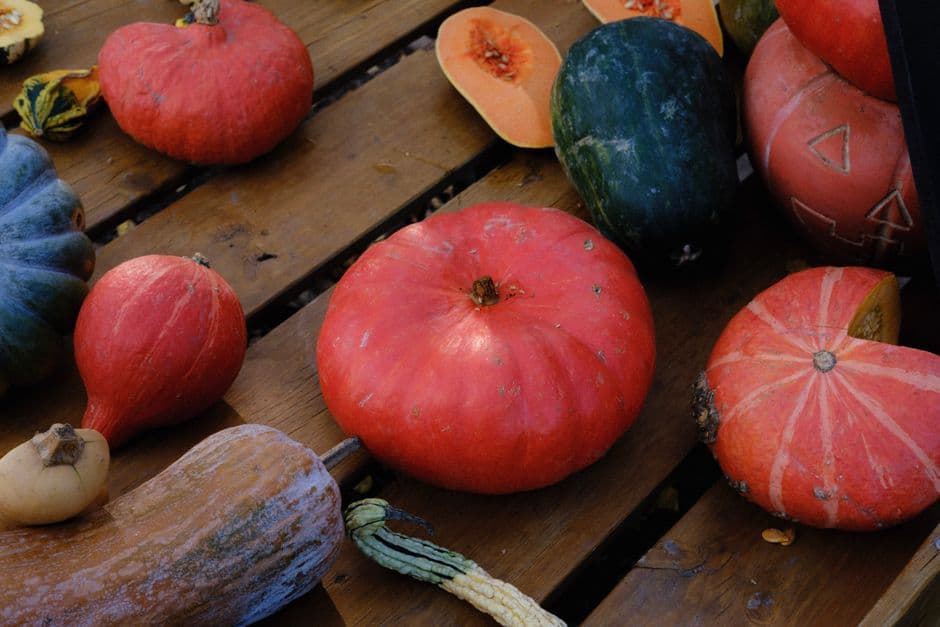 Fiera: Fiera della Zucca, Piozzo