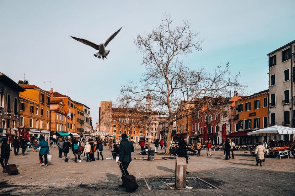 Fiera: Sagra degli Osei, Sacile