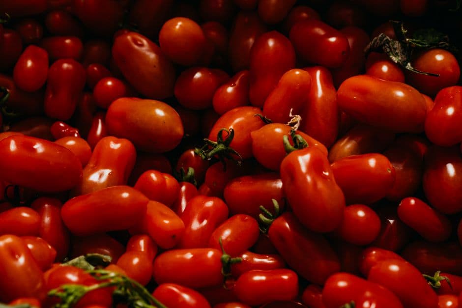 Sagra: Sagra del Pomodoro San Marzano DOP, Striano