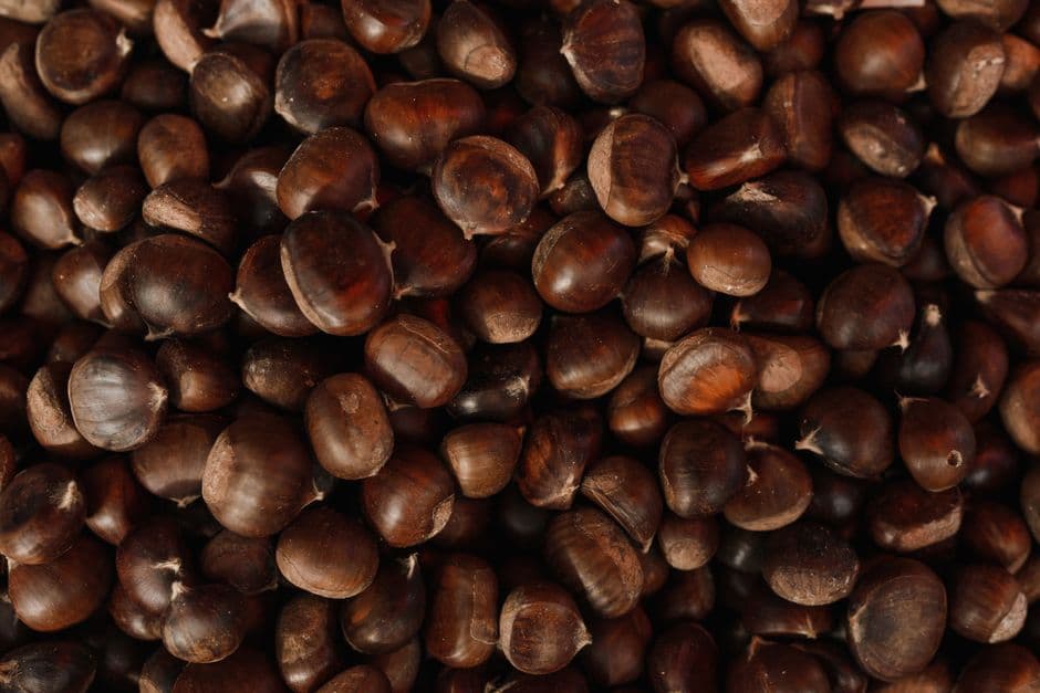 Sagra: Sagra della Castagna IGP e del Fungo Porcino, Roccamonfina