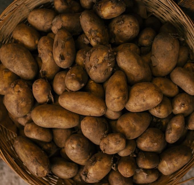 Sagra: Sagra della Patata del Fucino, Avezzano